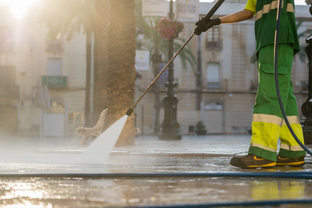 Best Roof Pressure Washing  in Tchula, MS